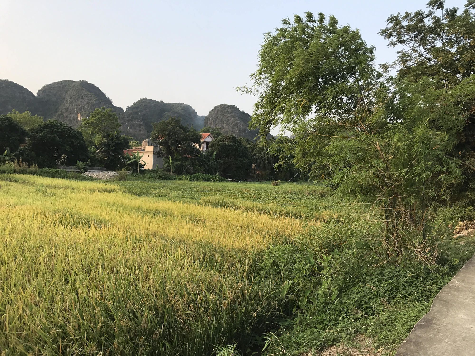 Tam Coc Garden Homestay Ninh Binh Exterior foto