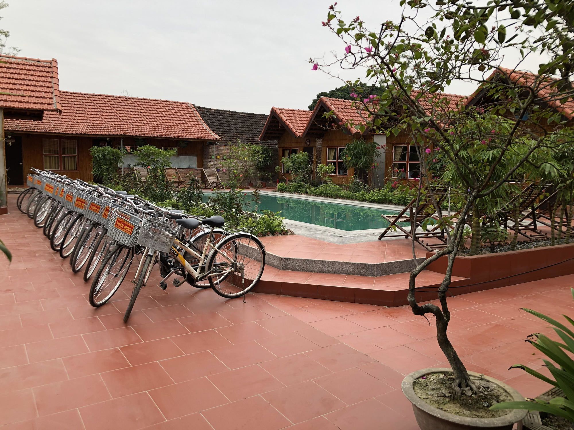 Tam Coc Garden Homestay Ninh Binh Exterior foto